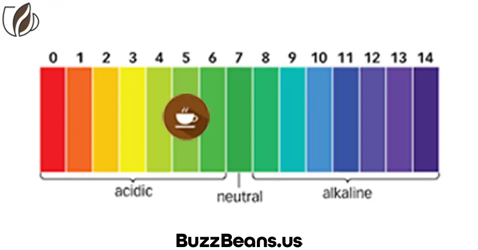 How Acidic is Coffee pH Scale