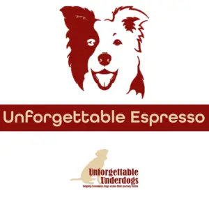 Unforgettable Under Dogs Dog Rescue Espresso Buzz Beans